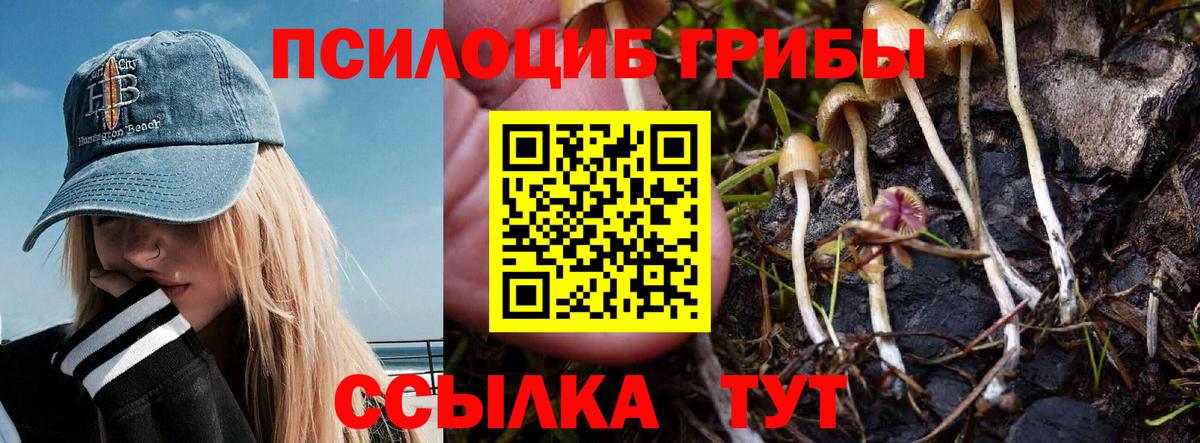 Каменск-Шахтинский  Псилоцибиновые грибы Psilocybe  Галлюциногенные грибы Psilocybe  Вход с VPN 