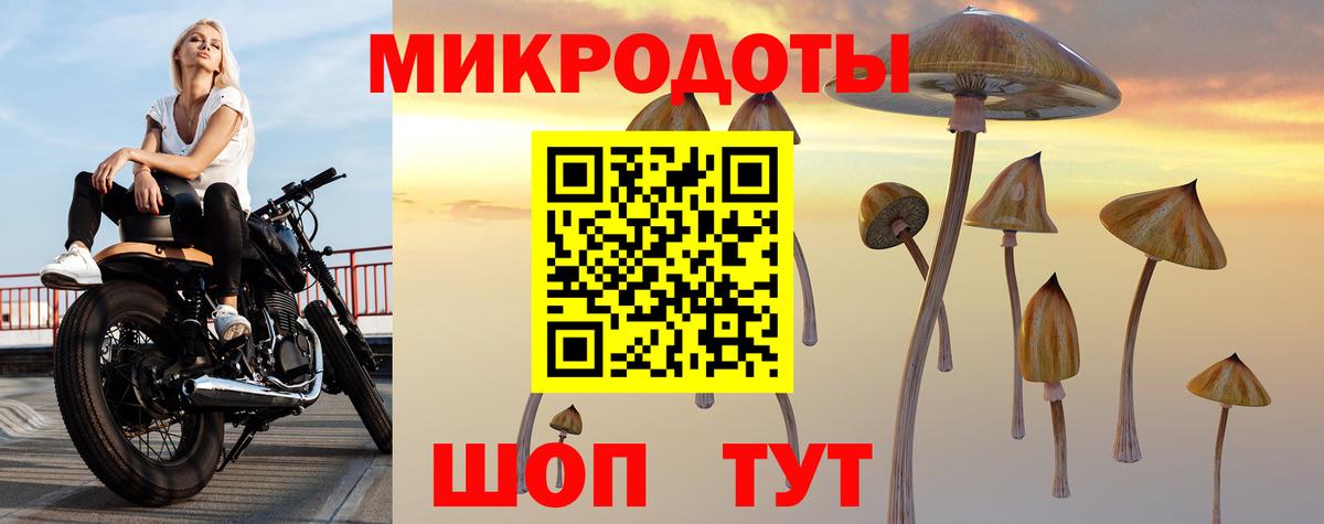 Псилоцибиновые грибы мухоморы Каменск-Шахтинский